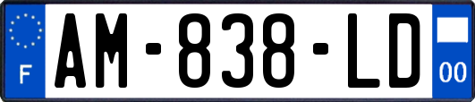 AM-838-LD