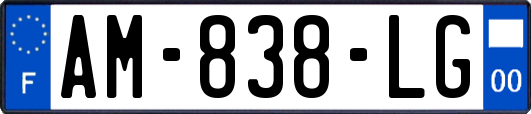 AM-838-LG