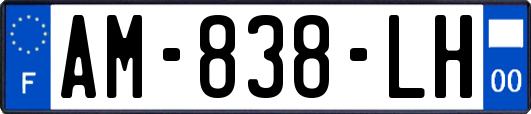 AM-838-LH