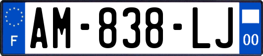 AM-838-LJ
