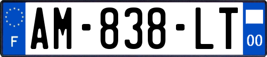 AM-838-LT