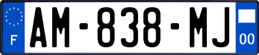 AM-838-MJ