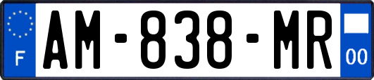 AM-838-MR