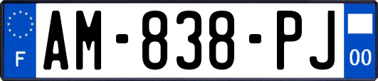 AM-838-PJ
