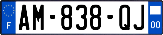AM-838-QJ