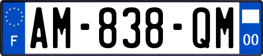 AM-838-QM