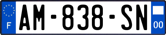 AM-838-SN