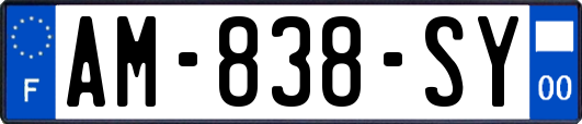 AM-838-SY