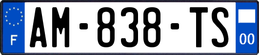 AM-838-TS