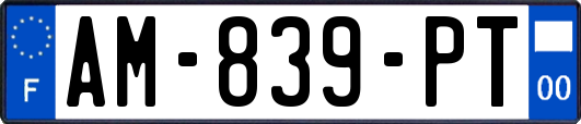 AM-839-PT