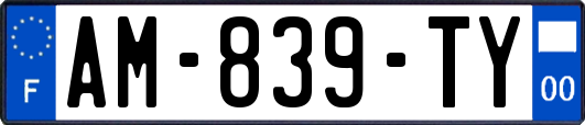 AM-839-TY