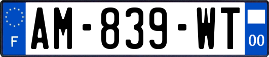 AM-839-WT