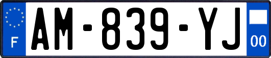 AM-839-YJ