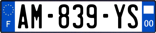 AM-839-YS