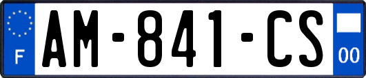 AM-841-CS