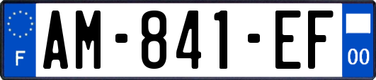 AM-841-EF