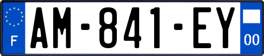 AM-841-EY