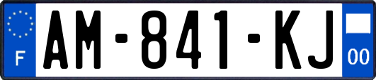 AM-841-KJ