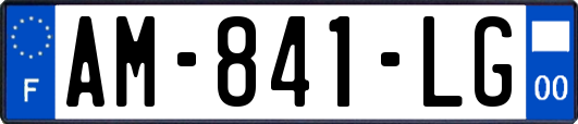 AM-841-LG