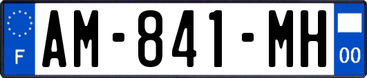 AM-841-MH