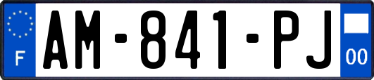 AM-841-PJ