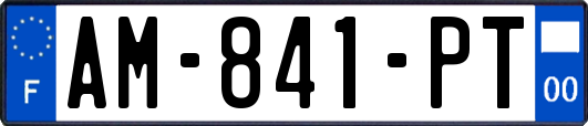 AM-841-PT