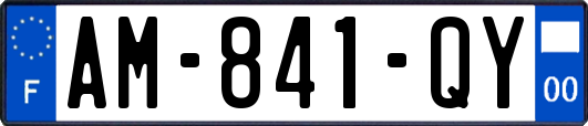 AM-841-QY