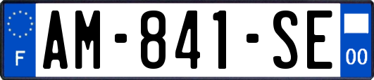 AM-841-SE