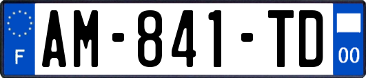 AM-841-TD