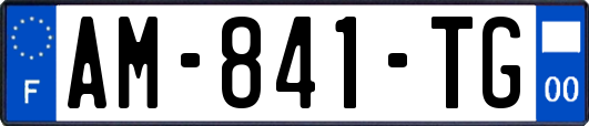 AM-841-TG