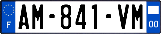 AM-841-VM