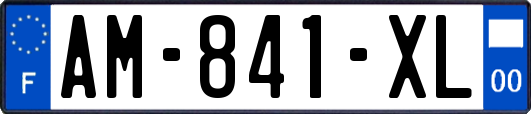 AM-841-XL