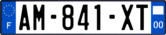 AM-841-XT