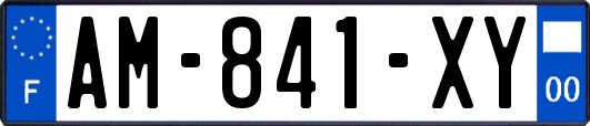 AM-841-XY