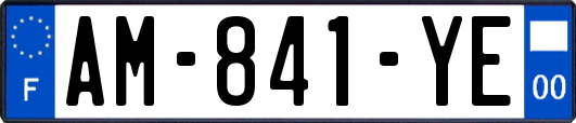 AM-841-YE