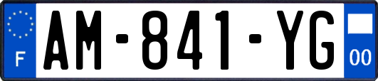 AM-841-YG