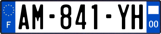 AM-841-YH