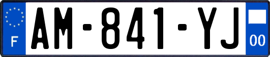 AM-841-YJ