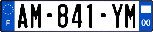 AM-841-YM