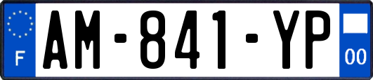 AM-841-YP