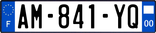 AM-841-YQ