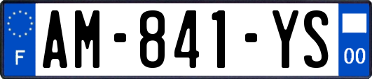 AM-841-YS