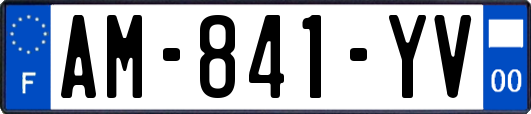 AM-841-YV