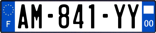 AM-841-YY
