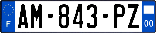 AM-843-PZ