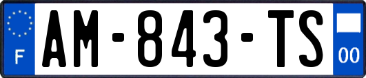 AM-843-TS