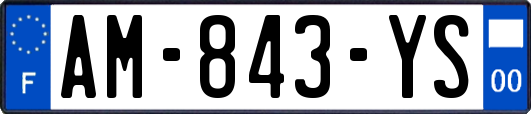 AM-843-YS