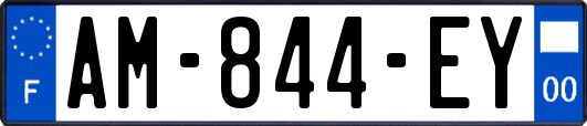 AM-844-EY
