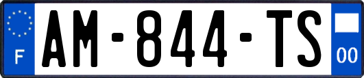 AM-844-TS