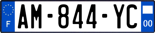 AM-844-YC
